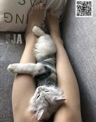 大宋王朝赵匡胤_蓝光版中文字幕包