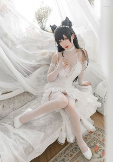女教授的隐秘魅力电影_高清全集在线观看