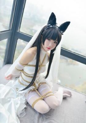 双胞胎姐妹的蔑视_DVD免费在线播放