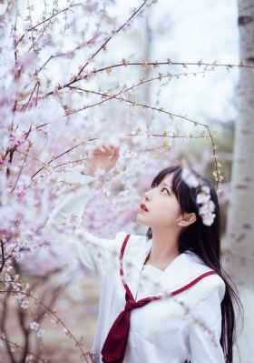 今天开始做明星第一季免费观看_高清电影完整版