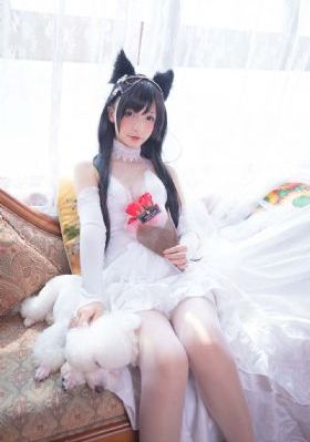 杏林春暖完整版_蓝光电影在线观看
